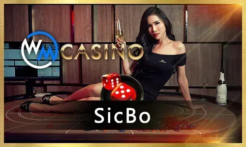 Exclusive Bonuses & Promotions